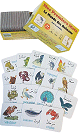 Mes Premiers Mots : Le Monde des animaux : domestiques, sauvages, marins, insectes, petits animaux, oiseaux (59 cartes) - Jeux et activités
